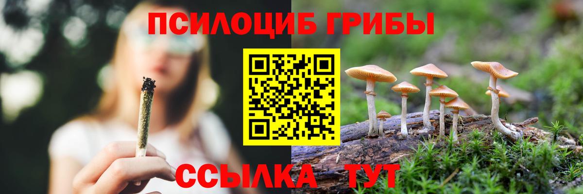 Псилоцибиновые грибы Psilocybe  Псилоцибиновые грибы GOLDEN TEACHER  Вход с VPN  Тосно 